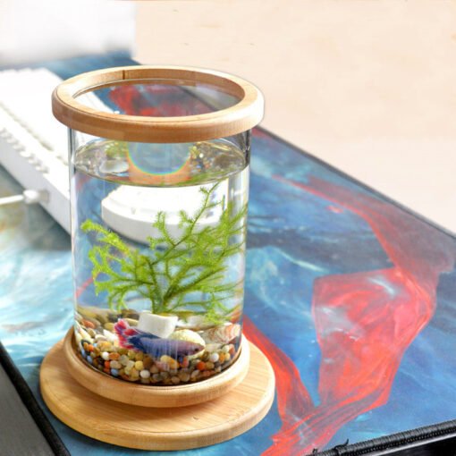 Small Office Glass Aquarium Bamboo Base Mini Fish Tank Decoration Fish Bowl - Hình ảnh 2