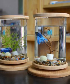 Small Office Glass Aquarium Bamboo Base Mini Fish Tank Decoration Fish Bowl