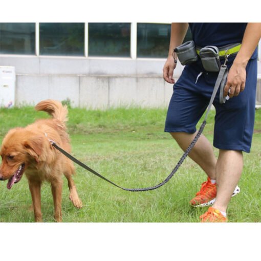 Adjustable Hands Free Dog Leash - 图片 9