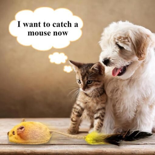 Interactive Cat Toys Mouse With LED Lights ForIndoor Cats USB Rechargeable Cat Mouse Toysfor Cats, Moving Automatic Chirping Squeakywith Feather Tail For All Breeds Cat Catnip Toys Forinteractive Toys - Hình ảnh 4