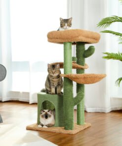 Cat Climbing Frame