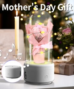 Creative 2 In 1 Bouquet LED Light And Bluetooth-compatible Speaker Mother's Day Gift Rose Luminous Night Light Ornament In Glass Cover