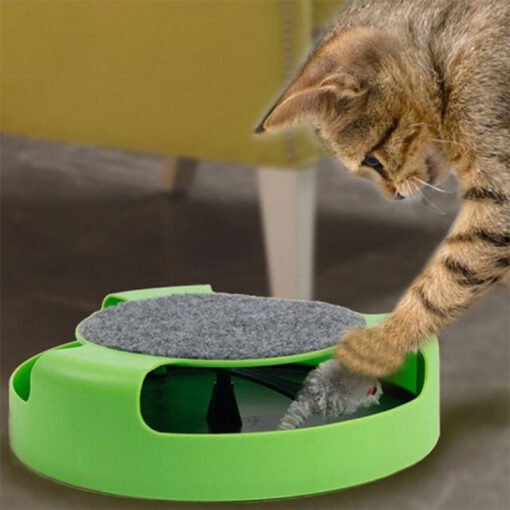 Mouse Cat Toy Top Cat Scratch Board Mouse Kitten Toy - Larawan 6
