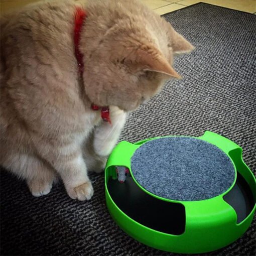 Mouse Cat Toy Top Cat Scratch Board Mouse Kitten Toy - Larawan 3