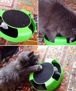 Mouse Cat Toy Top Cat Scratch Board Mouse Kitten Toy