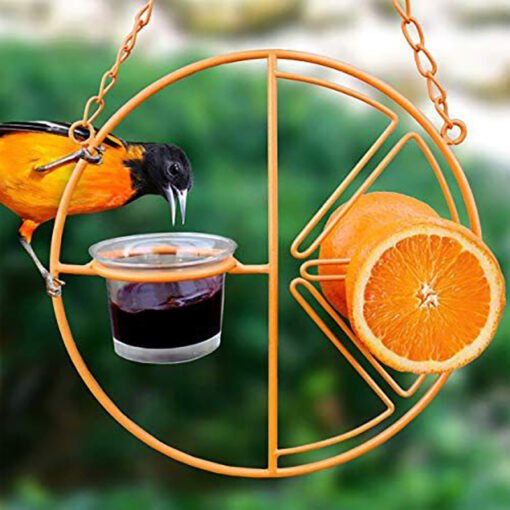 Oriole Bird Feeder Orange Fruit Outdoor Garden Metal Hanging Drinking Grape Jelly Container Farm Hummingbird Automatic Portable - Larawan 4