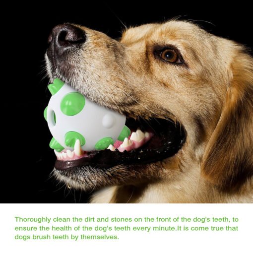 Spherical dog toy molar rod - Bild 4