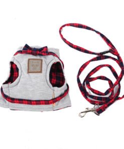 Kitty Cat Harness Offer