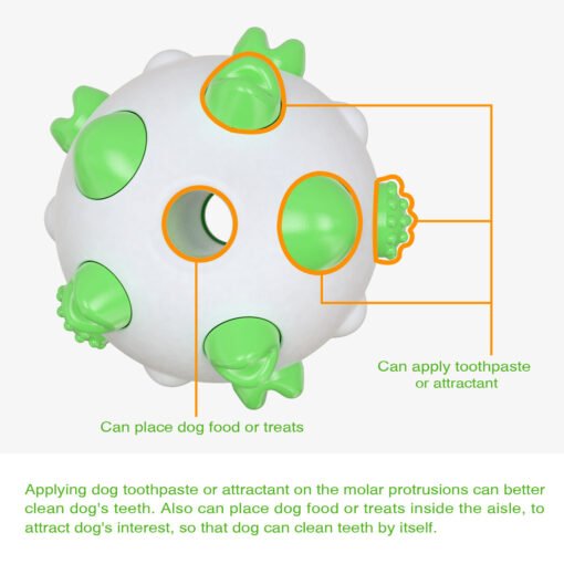 Spherical dog toy molar rod - Bild 3