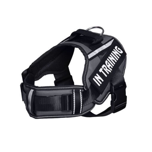 Reflective Dog Leash For  Chest Harness - Larawan 2
