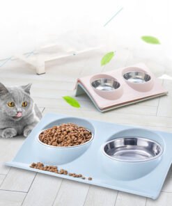 Stainless Steel Anti-spatter Pet Double Bowl