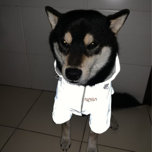 Tide Brand Windproof Rainproof Reflective Space Suit Pet Raincoat - Image 3