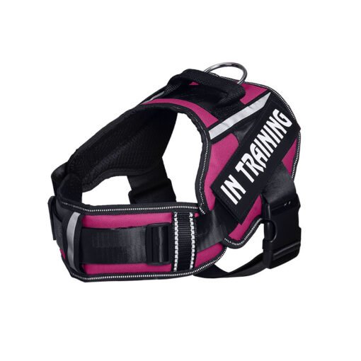 Reflective Dog Leash For  Chest Harness - Larawan 5