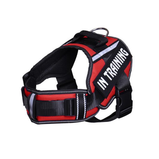 Reflective Dog Leash For  Chest Harness - Larawan 7